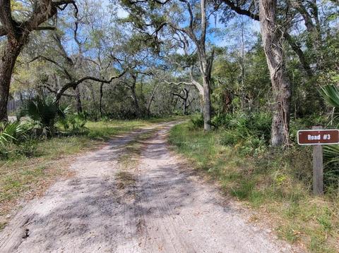 0 Strickland Bridge Rd, Perry, FL 32348 photo 6