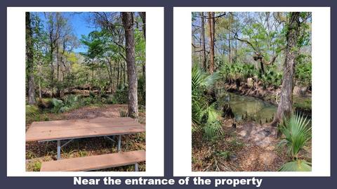 0 Strickland Bridge Rd, Perry, FL 32348 photo 8