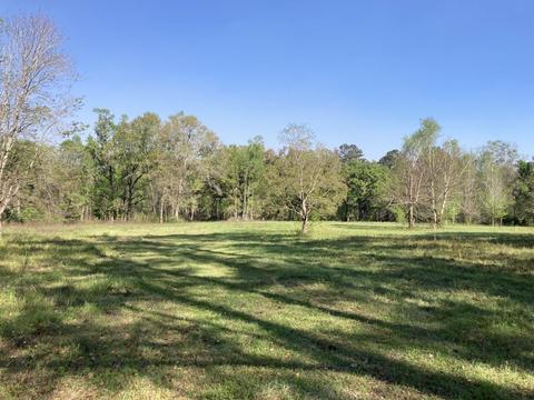 3079 Chaires Cross Rd, Tallahassee, FL 32317