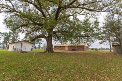 5081 8th Ave, Malone, FL 32445 photo 6