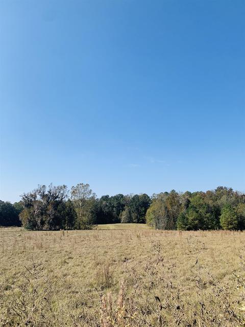 Nnn Oaklands Plantation Road, Monticello, FL 32344