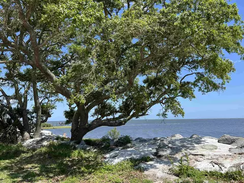 2186 Oak St, Carrabelle, FL 32322 photo 30
