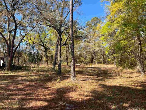 30589 NE County Rd 67 Rds, Telogia, FL 32360