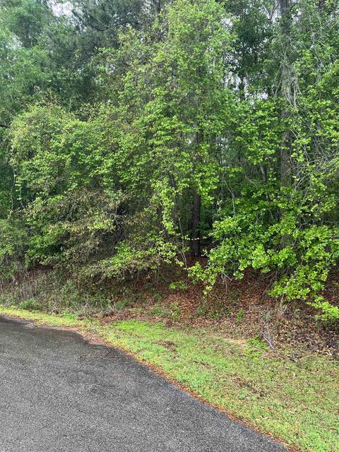 Nnnn Kaptain Drive, Monticello, FL 32344