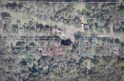 0 Leon Ward Rd, Perry, FL 32347