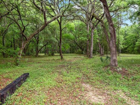 1786 Morgan Whiddon Rd, Perry, FL 32347 photo 32