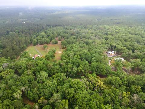 1786 Morgan Whiddon Rd, Perry, FL 32347 photo 34