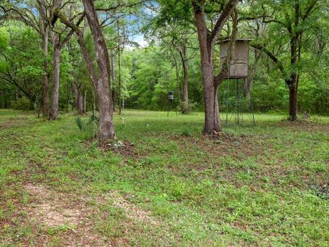 1786 Morgan Whiddon Rd, Perry, FL 32347 photo 31