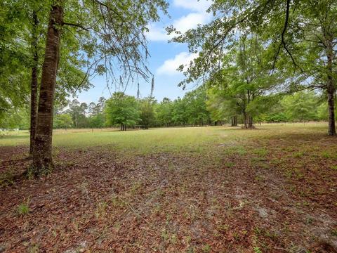 1786 Morgan Whiddon Rd, Perry, FL 32347 photo 33