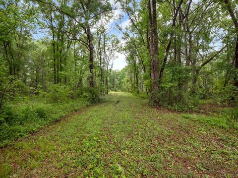 1786 Morgan Whiddon Rd, Perry, FL 32347 photo 28
