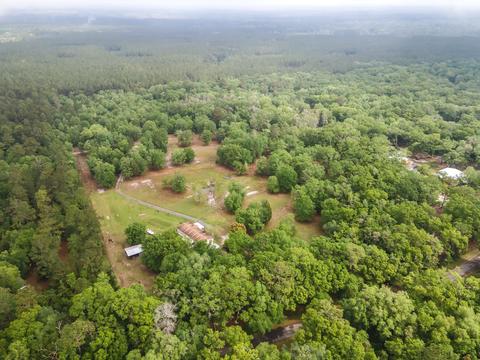 1786 Morgan Whiddon Rd, Perry, FL 32347 photo 2