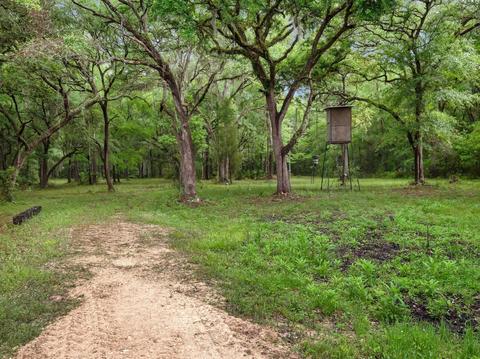 1786 Morgan Whiddon Rd, Perry, FL 32347 photo 30
