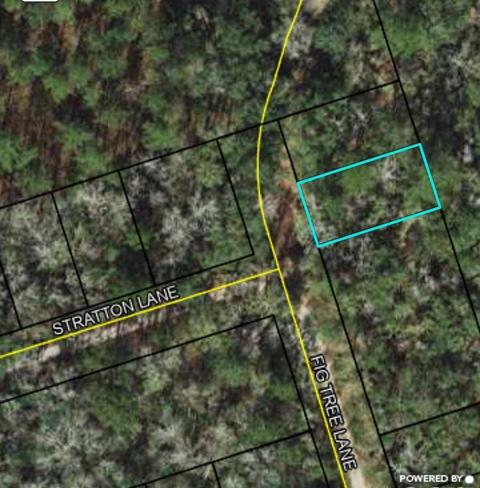 Nnn Fig Tree Lane, Crawfordville, FL 32327