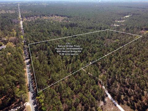 6001 Natural Bridge Rd, Tallahassee, FL 32305