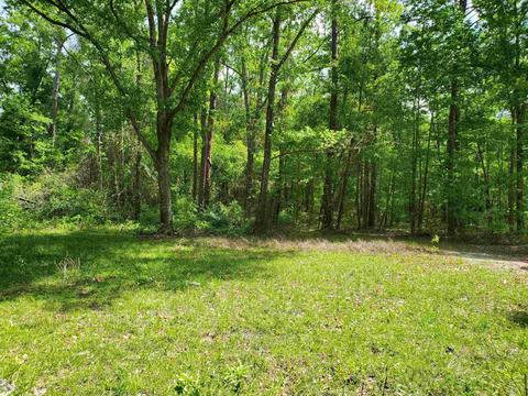 Nnn Westview Lane, Monticello, FL 32344