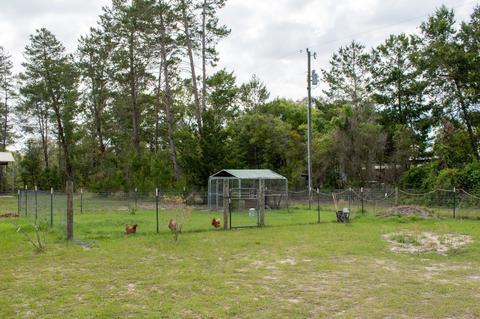 2135 Sea Meadows Dr, Perry, FL 32348 photo 31