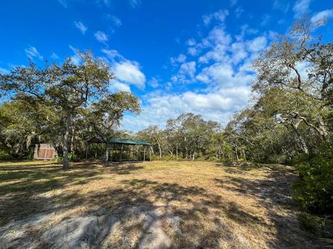 20357 Spoonbill Rd, Perry, FL 32348 photo 2