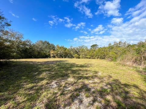 20357 Spoonbill Rd, Perry, FL 32348 photo 8