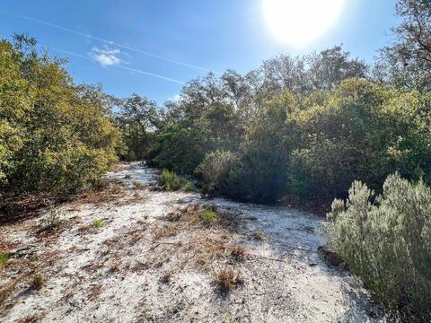 20357 Spoonbill Rd, Perry, FL 32348 photo 10