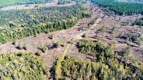 - Walker Springs Road, Monticello, FL 32344