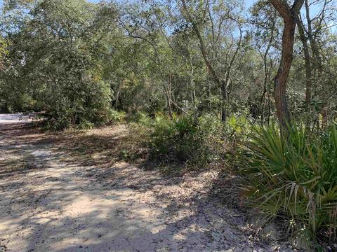 00 NE Fiddlers Way, Perry, FL 32348