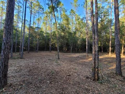 1 Tram Road, Tallahassee, FL 32311
