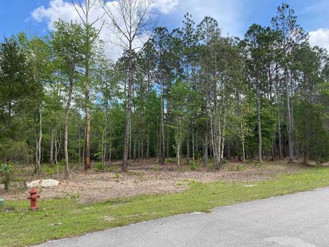 Nnn Boulder Run, Saint Marks, FL 32355