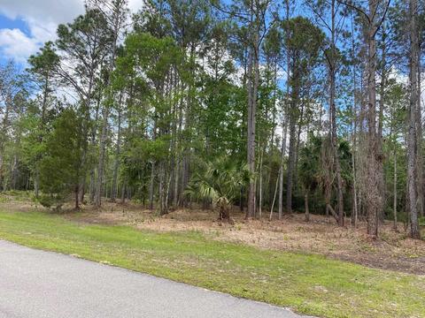 Nnn Boulder Run, Saint Marks, FL 32355 photo 2