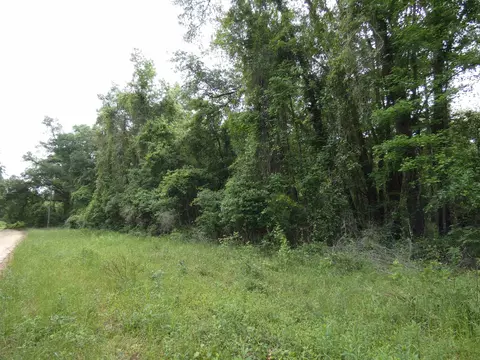 tbd E 2nd Way, Greenville, FL 32331