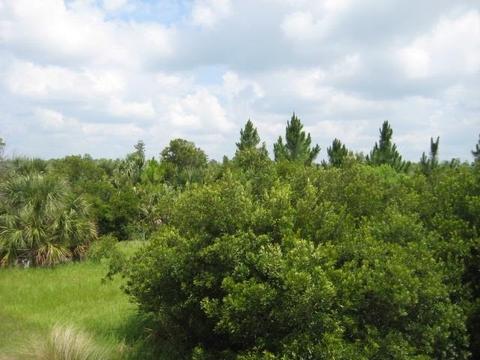 13 Sea Breeze Drive, Shell Point, FL 32327 photo 4