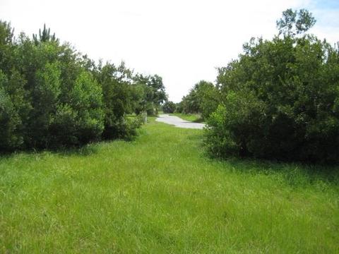 13 Sea Breeze Drive, Shell Point, FL 32327 photo 6