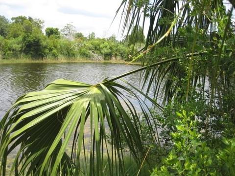 13 Sea Breeze Drive, Shell Point, FL 32327 photo 7