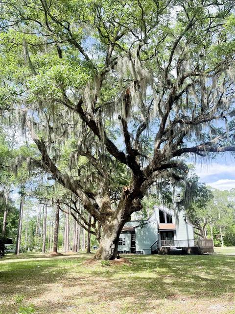109 Bishop Blvd, Perry, FL 32347 photo 20