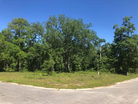 Vacant Pine Cone Drive, Monticello, FL 32344