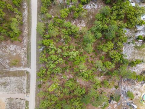 00 Red Oak Rd, Perry, FL 32348