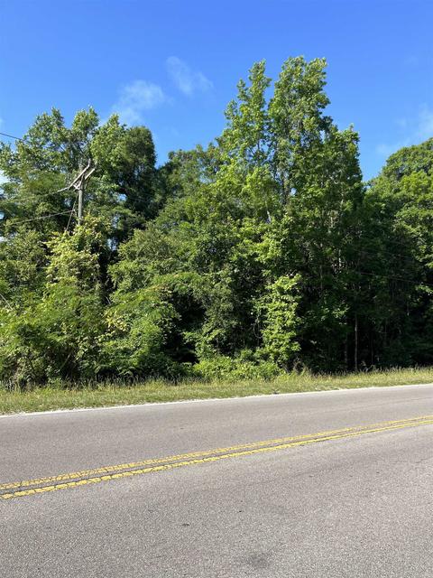 1081 Dr Mlk Jr Memorial Rd, Crawfordville, FL 32327
