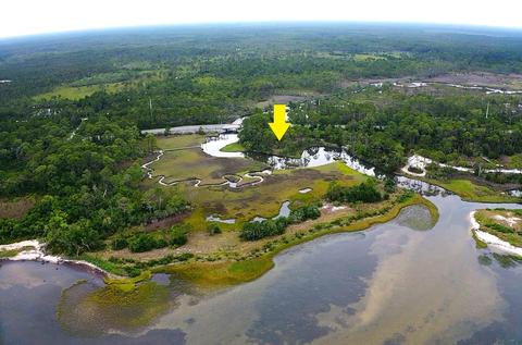 2956 Creek Side Dr, Carrabelle, FL 32322