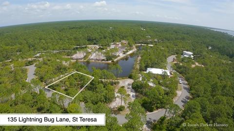 135 Lightning Bug Ln, Saint Teresa, FL 32358