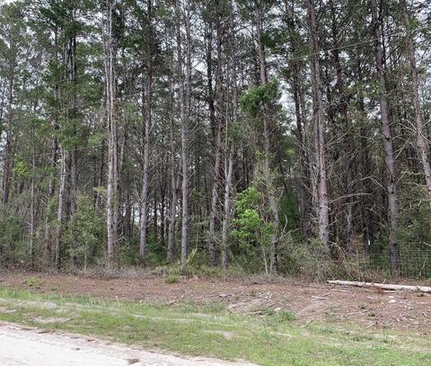0 Sea Urchin Ln, Perry, FL 32348