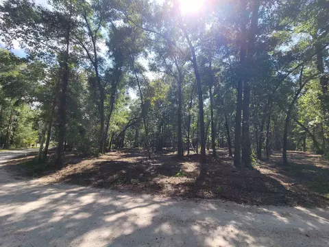 Lot 4b Parramore Shores Road, Tallahassee, FL 32310