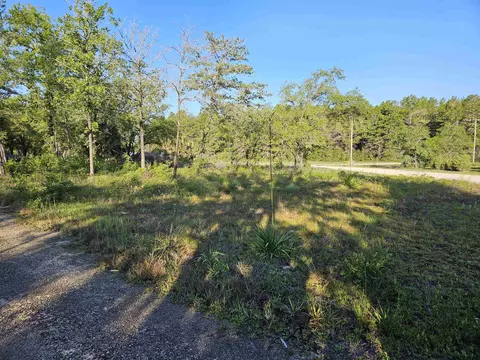 15900 E Royal Oak Dr, Perry, FL 32348