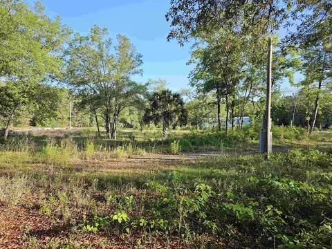 15900 E Royal Oak Dr, Perry, FL 32348 photo 3
