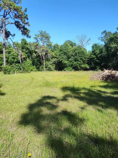 Exterior - 1618 Golf Course Rd, Perry, FL 32348 photo 7 of 9