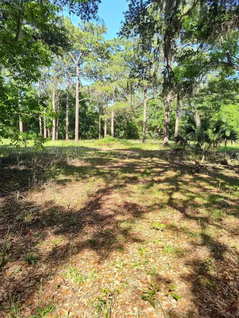 Exterior - 1618 Golf Course Rd, Perry, FL 32348 photo 8 of 9