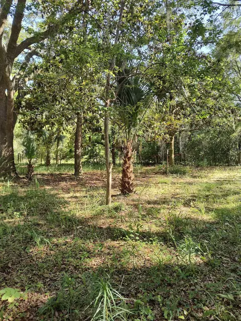 Exterior - 1618 Golf Course Rd, Perry, FL 32348 photo 9 of 9