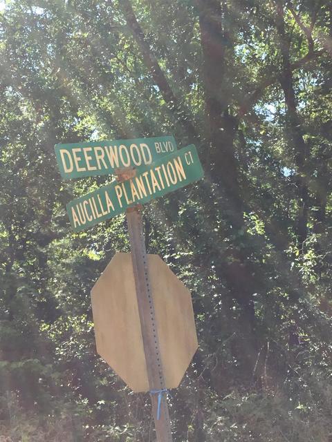 Undisclosed, Greenville, FL 32331