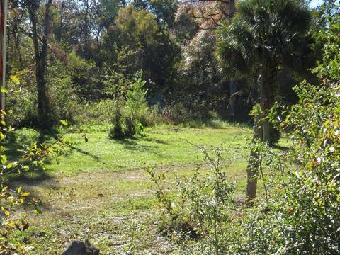 25001 Thunder Rd, Tallahassee, FL 32310