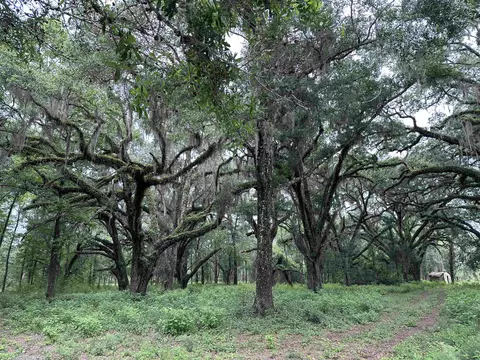 2930 Coastal Hwy #LOT 2, Crawfordville, FL 32327
