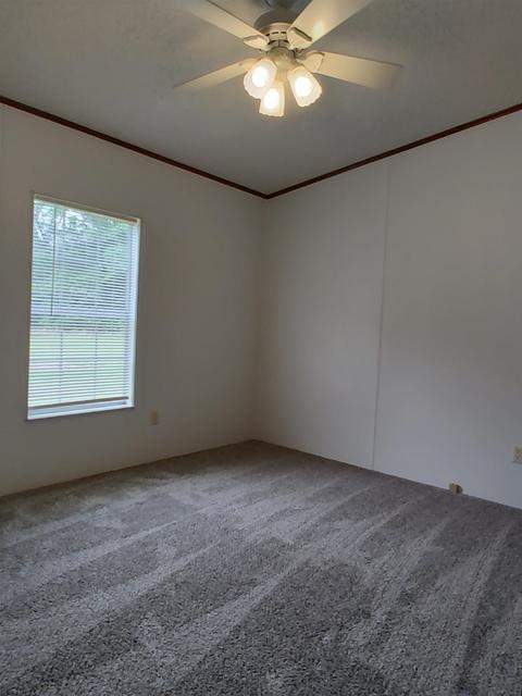 4345 Starling Ln, Perry, FL 32347 photo 19