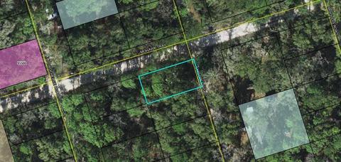 35 Chicopee Road, Crawfordville, FL 32327